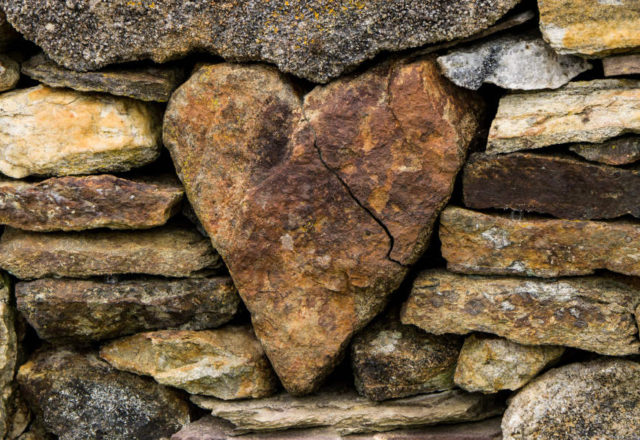 Сублімація співчуттям