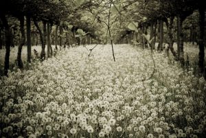 Cron | AvPme's iHome