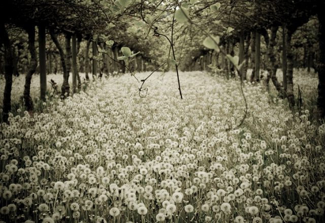 Cron | AvPme's iHome